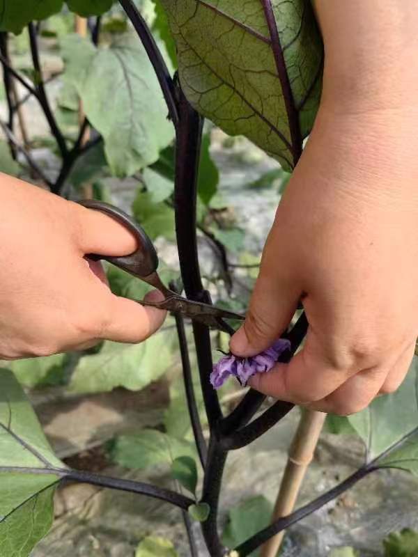 1681958147695638.jpg 微(wēi)信圖片_20230420093240.jpg