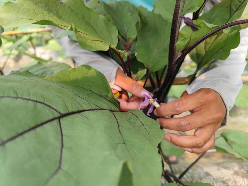 1681958224882416.jpg 微(wēi)信圖片_20230420093253.jpg