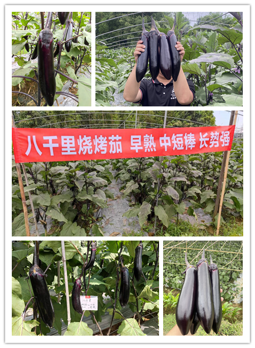 1684211386366328.png 1684211386366328.png