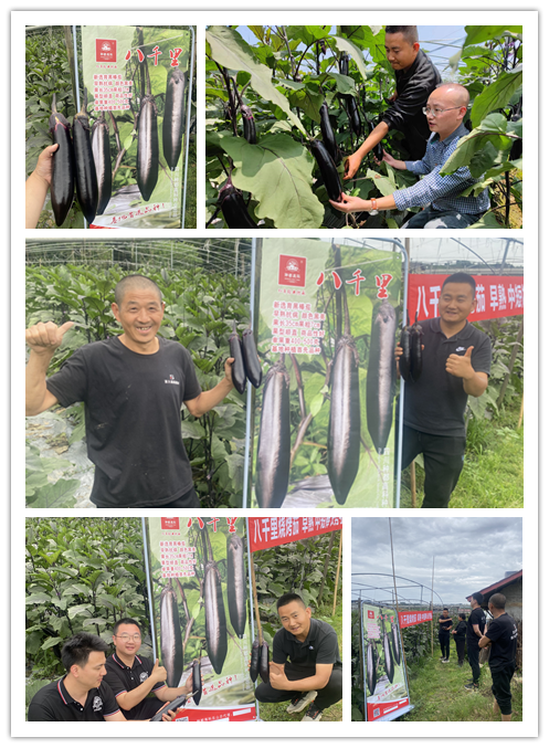 1684211568155843.png 1684211568155843.png