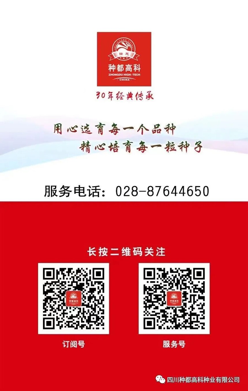 1702865658618633.jpg 640.jpg