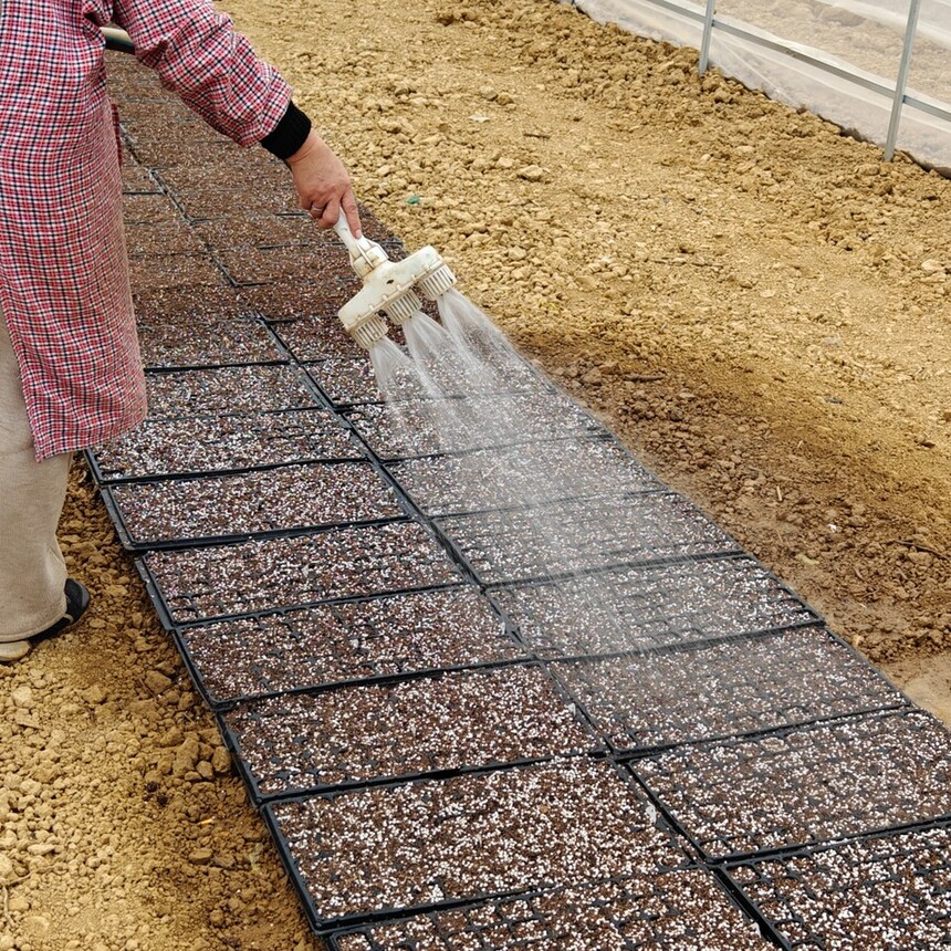 1705903133139393.jpg 3b2c0d3ccea3e089f766fab63f7fe1a.jpg